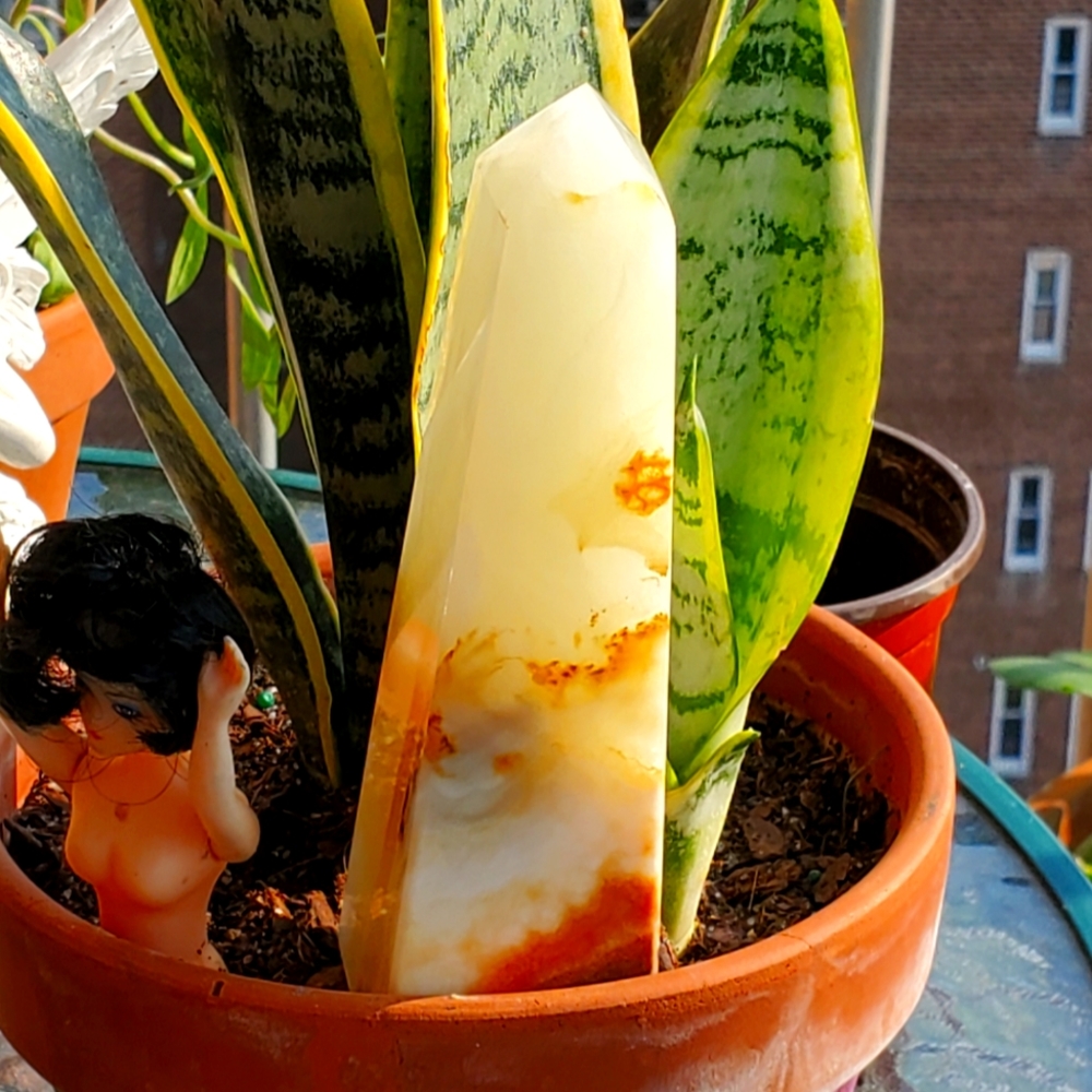 Natural Cream and Brown Stone Accent